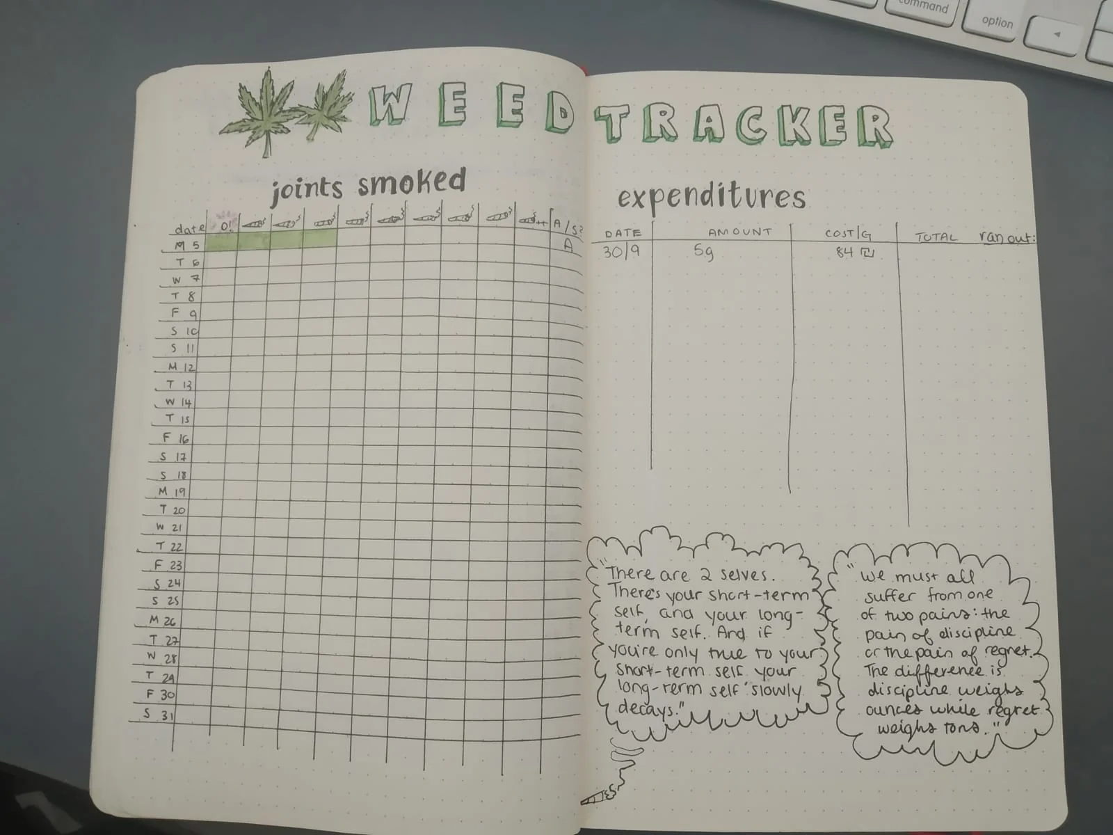 Cannabis Journaling in 2025: Track Your Use for Better Habits